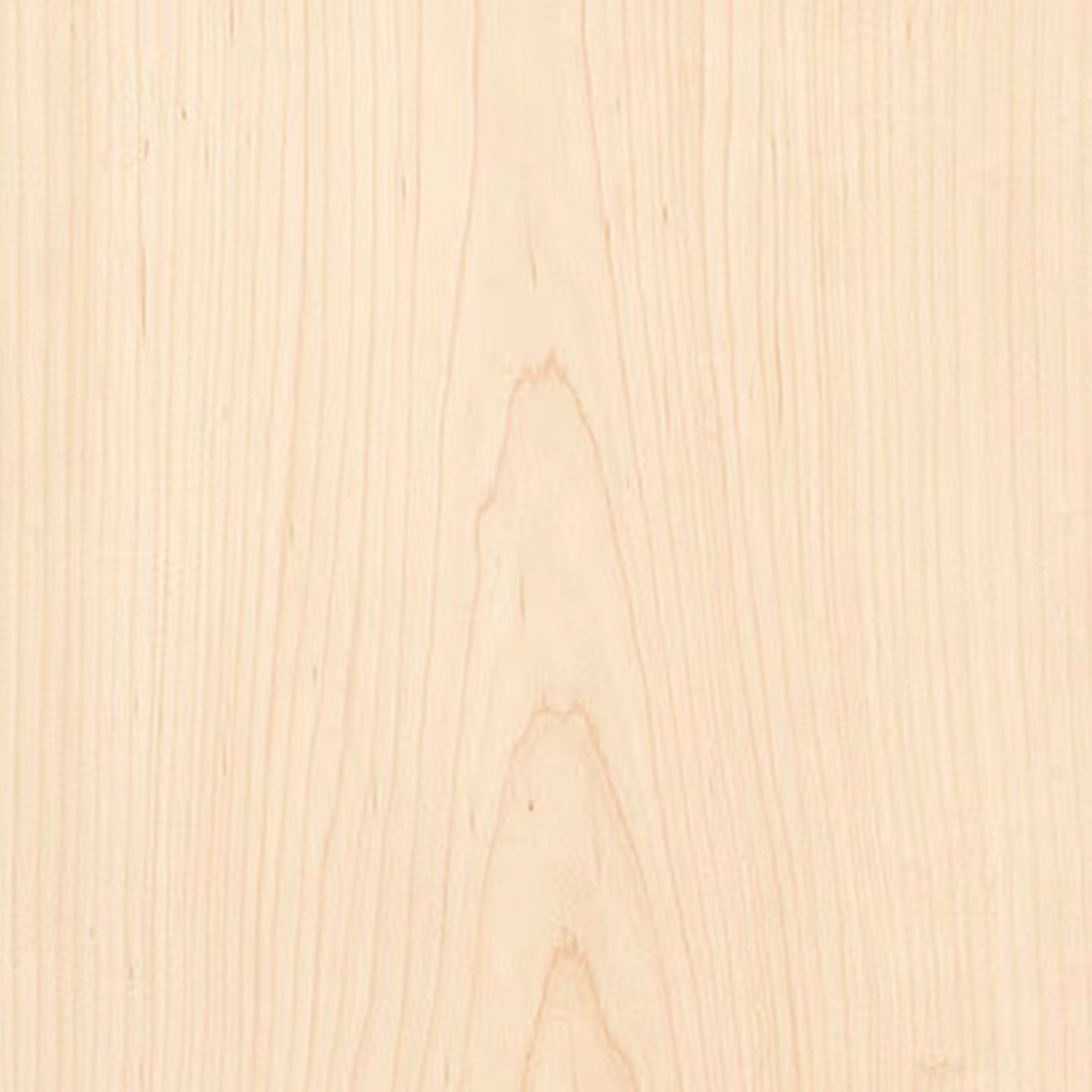 Maple Plywood