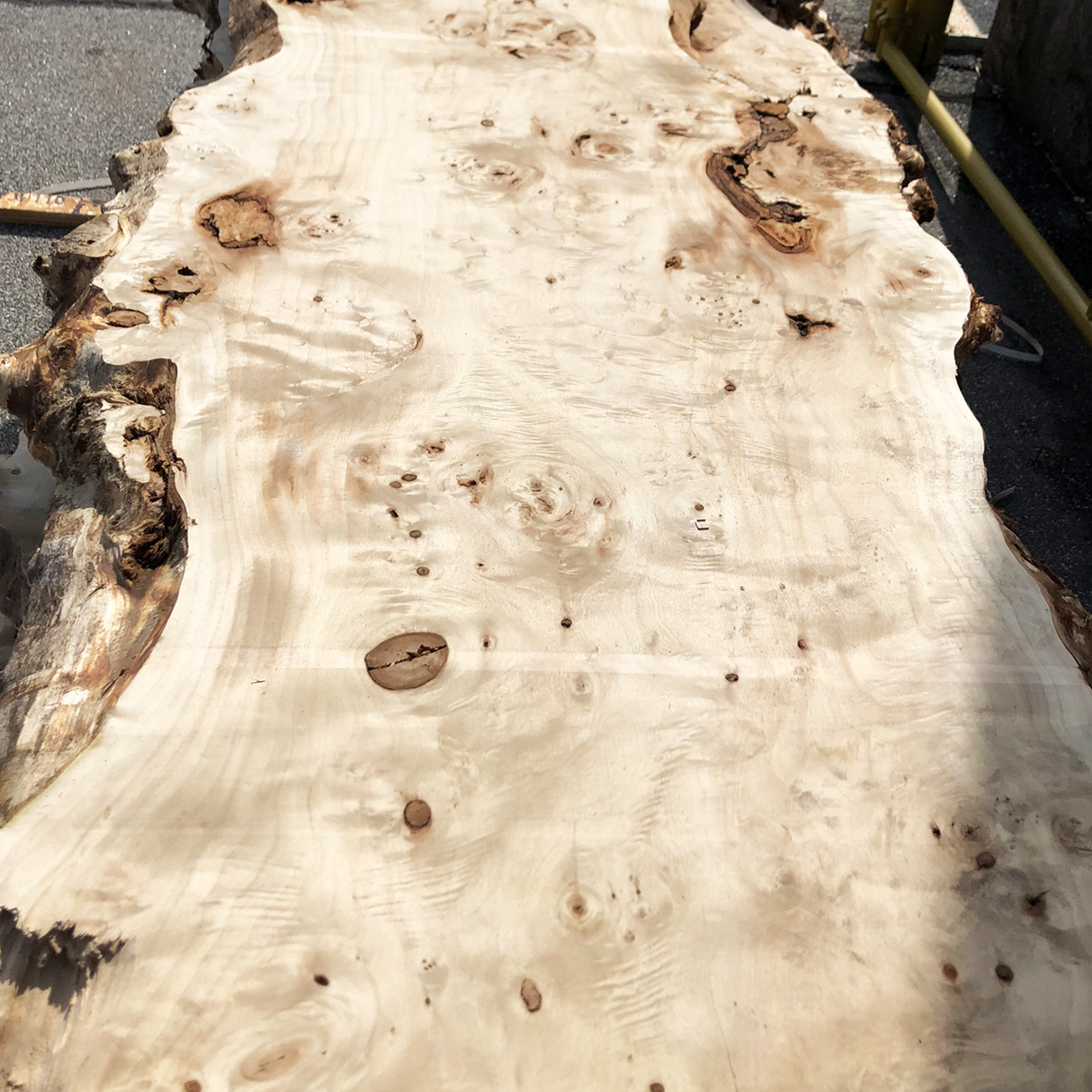 Mappa Burl Live Edge Lumber