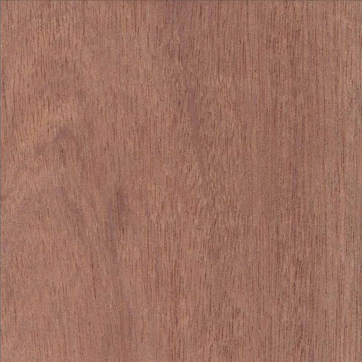 Mahogany Plywood