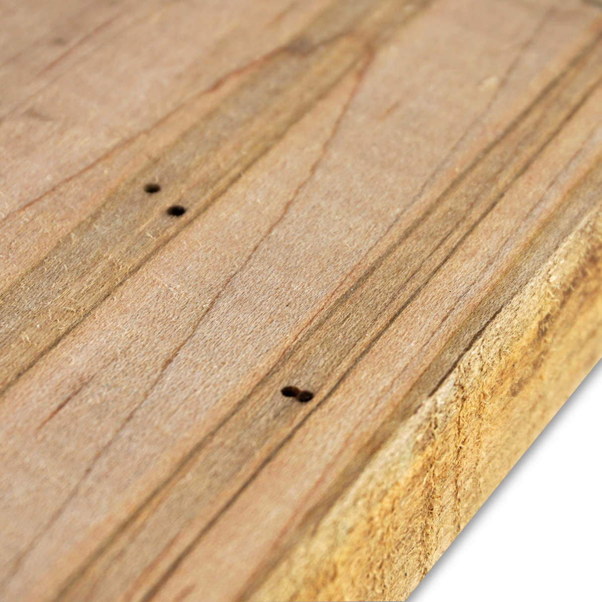 4/4 Ambrosia Maple Lumber Shorts Rough